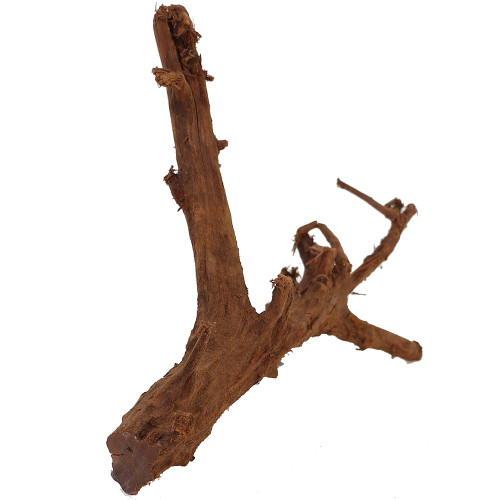 Malaysian Driftwood, Super WYSIWYG 14" x 11"