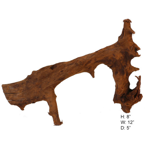 Malaysian Driftwood, Super WYSIWYG 8" x 12"