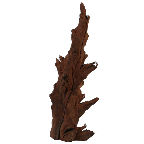 Malaysian Driftwood, Super WYSIWYG 12" x 4"
