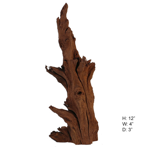 Malaysian Driftwood, Super WYSIWYG 12" x 4"