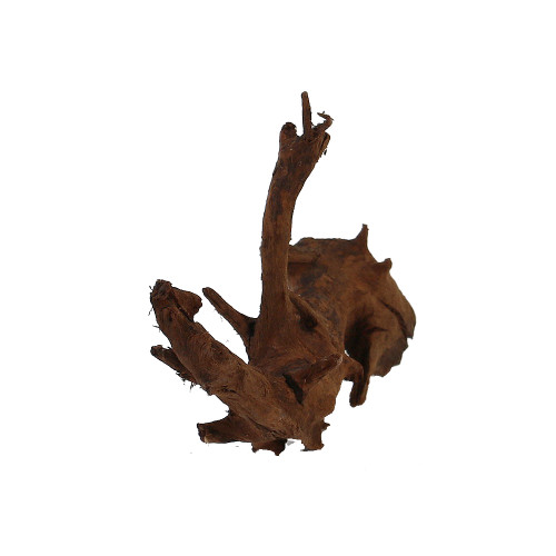 Malaysian Driftwood, Super WYSIWYG 7" x 12"