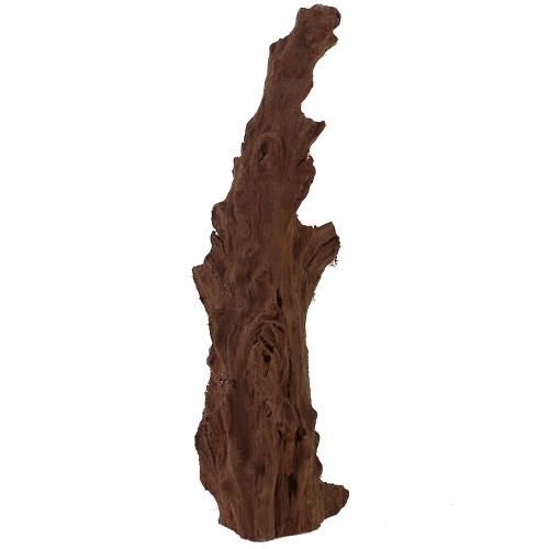 Malaysian Driftwood, Super WYSIWYG 13" x 5"