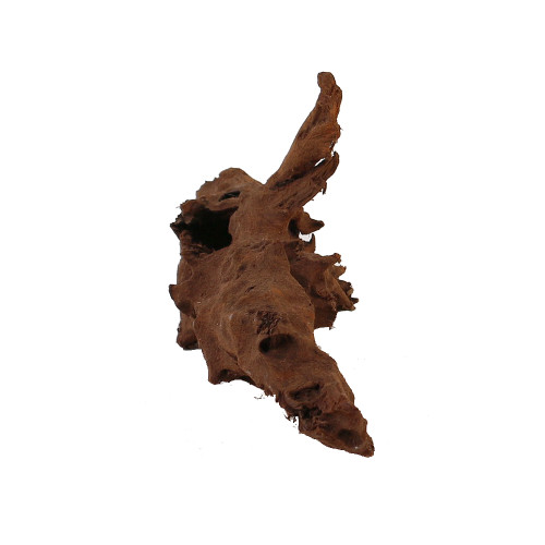 Malaysian Driftwood, Super WYSIWYG 5" x 12"