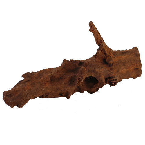 Malaysian Driftwood, Super WYSIWYG 5" x 12"