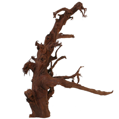 Malaysian Driftwood, Super WYSIWYG 14" x 12"