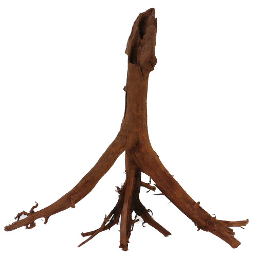Malaysian Driftwood, Super WYSIWYG 14" x 16"
