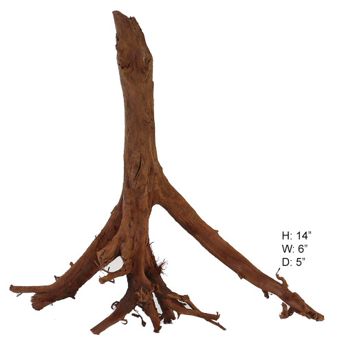 Malaysian Driftwood, Super WYSIWYG 14" x 16"