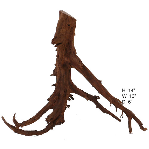 Malaysian Driftwood, Super WYSIWYG 14" x 17"