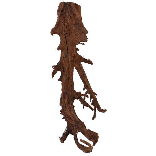 Malaysian Driftwood, Super WYSIWYG 14" x 17"