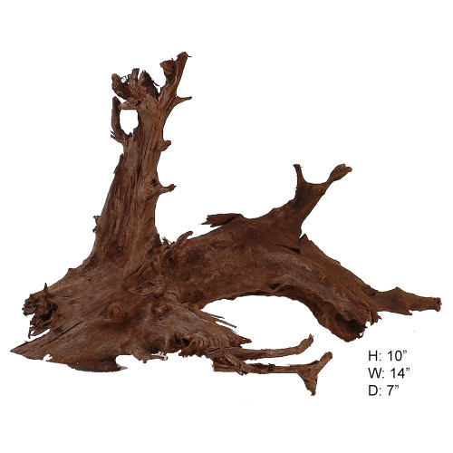 Malaysian Driftwood, Super WYSIWYG 10" x 14"