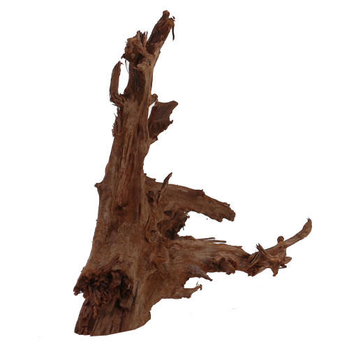 Malaysian Driftwood, Super WYSIWYG 10" x 14"