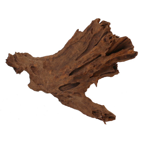 Malaysian Driftwood, Super WYSIWYG 8" x 14"