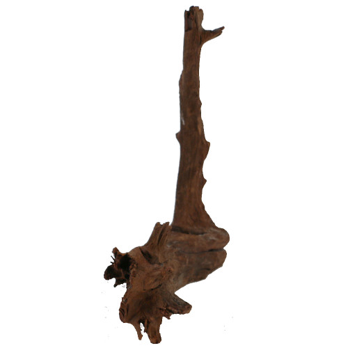 Malaysian Driftwood, Super WYSIWYG 14" x 14"