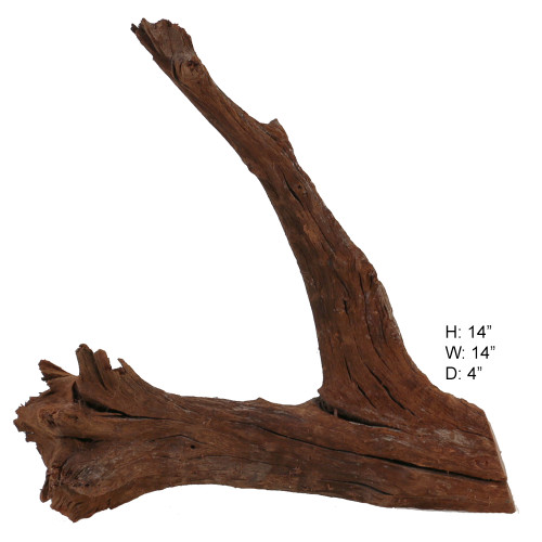 Malaysian Driftwood, Super WYSIWYG 14" x 14"