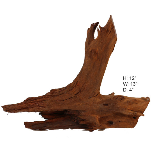 Malaysian Driftwood, Super WYSIWYG 12" x 13"