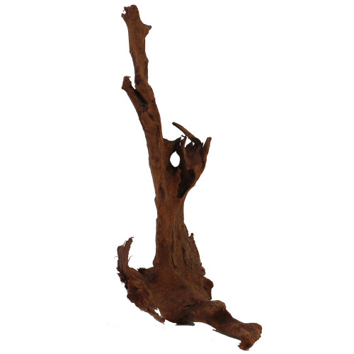 Malaysian Driftwood, Super WYSIWYG 14" x 9"