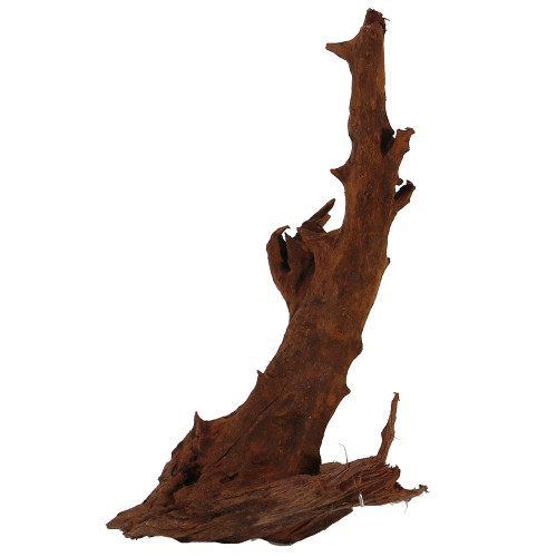 Malaysian Driftwood, Super WYSIWYG 14" x 9"