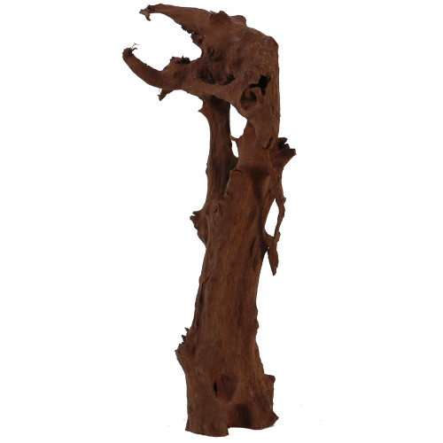 Malaysian Driftwood, Super WYSIWYG 15" x 4"