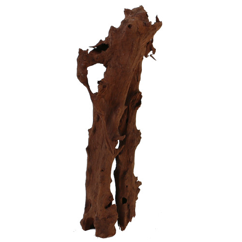 Malaysian Driftwood, Super WYSIWYG 15" x 4"