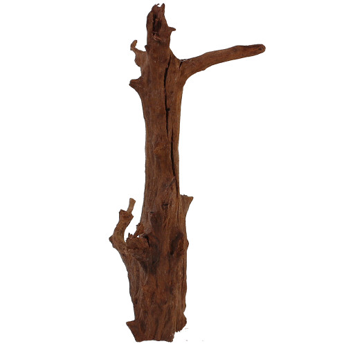 Malaysian Driftwood, Super WYSIWYG 15" x 9"