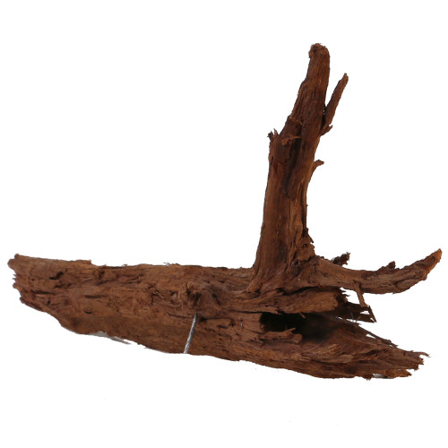 Malaysian Driftwood, Super WYSIWYG 9" x 15"