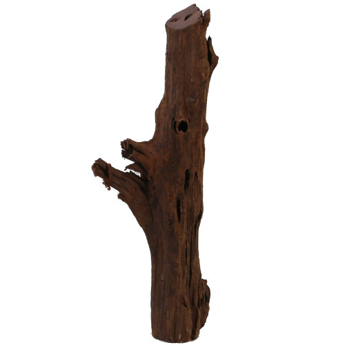 Malaysian Driftwood, Super WYSIWYG 15" x 6"