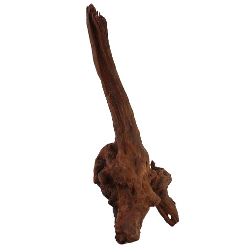 Malaysian Driftwood, Super WYSIWYG 22" x 12"
