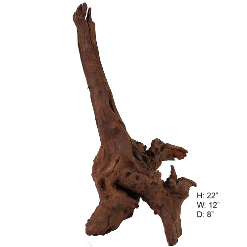 Malaysian Driftwood, Super WYSIWYG 22" x 12"