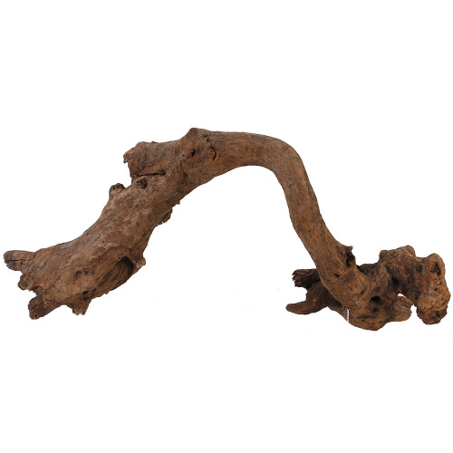 Malaysian Driftwood, Super WYSIWYG 12" x 27"