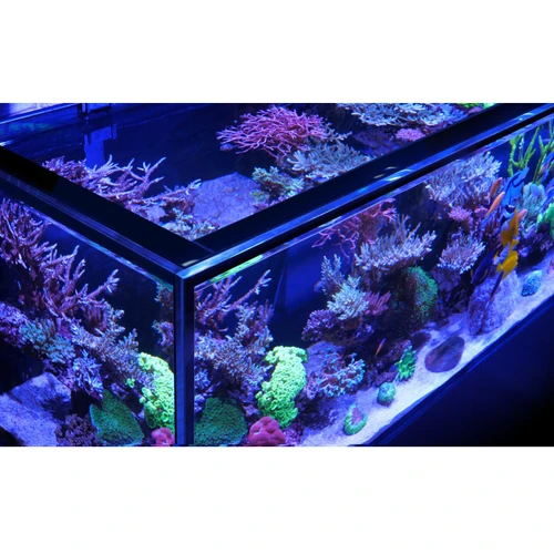 Red Sea REEF-FRAME MAX 350