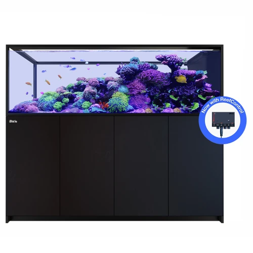 Red Sea REEFER Peninsula S 950 G3+ Aquarium Kit - Black