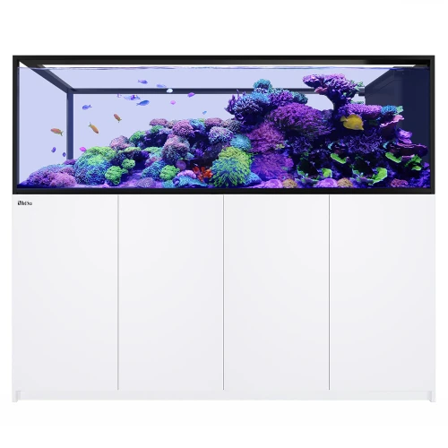 Red Sea REEFER Peninsula S 950 G3+ Aquarium Kit - White