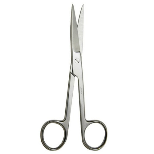 Dissecting Scissors 6.5" Stainless Steel