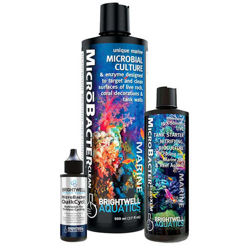 Brightwell Aquatics MicroBacter Dry Rock Bacteria Starter Kit