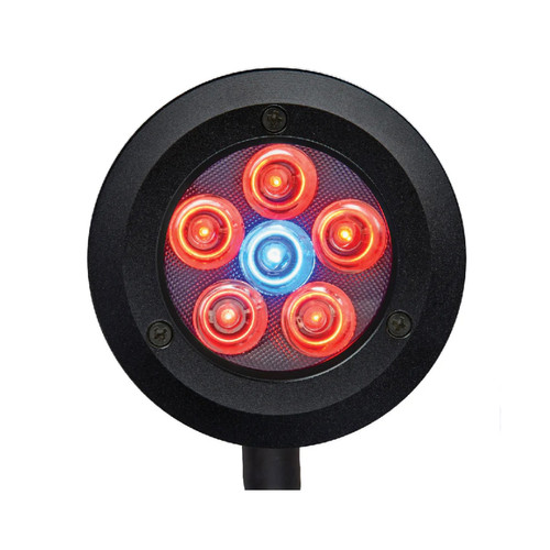 Pico Refugium LED - ReefBreeders