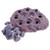 Ocean Wonders Frag Hub 10.0 - Purple