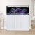 IM EXT 100 Gallon Complete Reef System – White