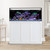 IM EXT 150 Gallon Lagoon Aquarium Complete Reef System – White (Made to Order)