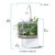 Fluval Kuhl Aquarium Kit, White
