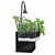 Fluval Kuhl Aquarium Kit, Black