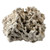 Marco Rock Genuine Fiji Pukani Rock, 25 lbs. Box