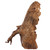 Malaysian Driftwood, Super WYSIWYG 18" x 7"