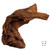 Malaysian Driftwood, Super WYSIWYG 15" x 16"