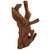 Malaysian Driftwood, Super WYSIWYG 21" x 10"