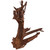 Malaysian Driftwood, Super WYSIWYG 22" x 18"