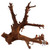 Malaysian Driftwood, Super WYSIWYG 16" x 17"