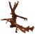 Malaysian Driftwood, Super WYSIWYG 16" x 17"