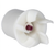 Replacement Impeller for Iwaki MD-40RXT Water Pump