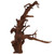 Malaysian Driftwood, Super WYSIWYG 14" x 12"
