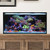 IM NUVO Fusion 25 Lagoon - Starter Kit - Combo